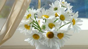 Preview wallpaper chamomile, flowers, window sill, vase, curtain