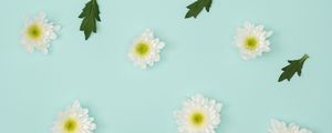 Preview wallpaper chamomile, leaves, minimalism, pastel