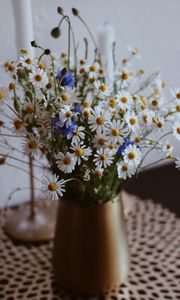 Preview wallpaper chamomile, wildflowers, vase