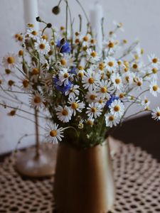 Preview wallpaper chamomile, wildflowers, vase