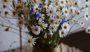 Preview wallpaper chamomile, wildflowers, vase