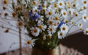 Preview wallpaper chamomile, wildflowers, vase