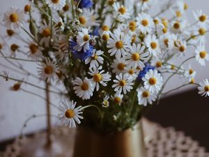 Preview wallpaper chamomile, wildflowers, vase