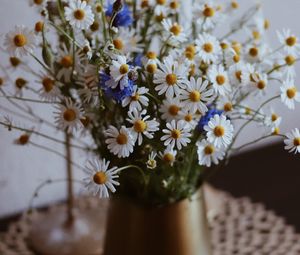 Preview wallpaper chamomile, wildflowers, vase