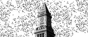 Preview wallpaper chapel, birds, bw, building, architecture