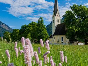 Preview wallpaper chapel, flowers, grass