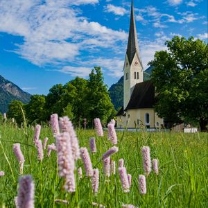 Preview wallpaper chapel, flowers, grass