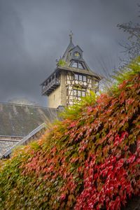 Preview wallpaper chapel, maple, maple leaves, autumn