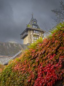 Preview wallpaper chapel, maple, maple leaves, autumn