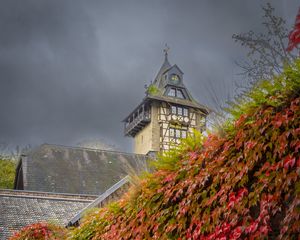 Preview wallpaper chapel, maple, maple leaves, autumn