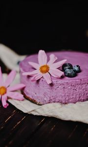 Preview wallpaper cheesecake, pie, pastries, blueberries, flowers