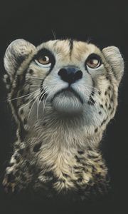 Preview wallpaper cheetah, art, drawing, predator, glance