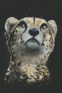 Preview wallpaper cheetah, art, drawing, predator, glance