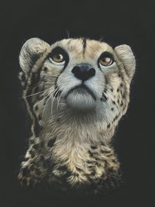 Preview wallpaper cheetah, art, drawing, predator, glance