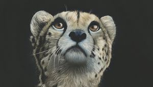 Preview wallpaper cheetah, art, drawing, predator, glance