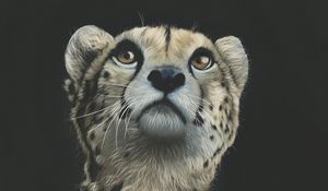 Preview wallpaper cheetah, art, drawing, predator, glance