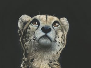Preview wallpaper cheetah, art, drawing, predator, glance