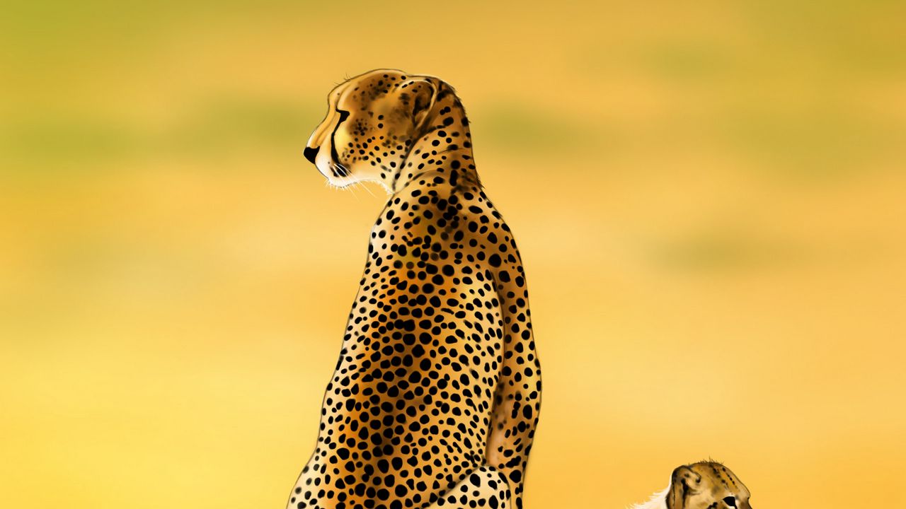 Wallpaper cheetah, big cat, cub, predator, art