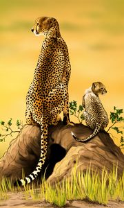 Preview wallpaper cheetah, big cat, cub, predator, art