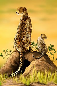 Preview wallpaper cheetah, big cat, cub, predator, art