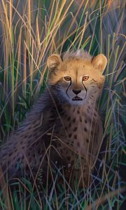 Preview wallpaper cheetah, big cat, predator, art, wildlife