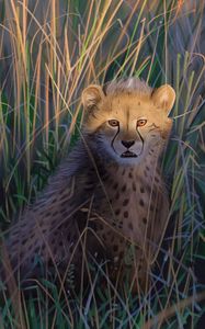 Preview wallpaper cheetah, big cat, predator, art, wildlife