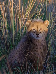 Preview wallpaper cheetah, big cat, predator, art, wildlife