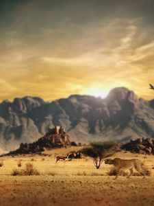 Preview wallpaper cheetah, savanna, hunting, mountains