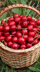 Preview wallpaper cherries, berries, basket, harvest, red