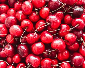 Preview wallpaper cherries, berries, red, ripe, harvest