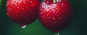 Preview wallpaper cherries, fruits, drops, dew, macro, red