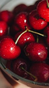 Preview wallpaper cherries, red, wet, ripe