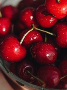 Preview wallpaper cherries, red, wet, ripe