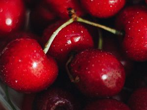 Preview wallpaper cherries, red, wet, ripe