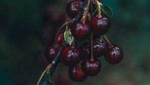 Preview wallpaper cherry, berries, branch, blur, ripe