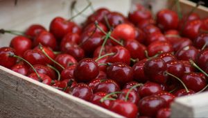 Preview wallpaper cherry, berries, food, red