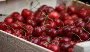 Preview wallpaper cherry, berries, food, red