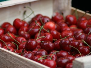 Preview wallpaper cherry, berries, food, red