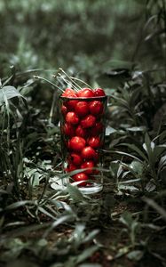 Preview wallpaper cherry, berries, glass, grass, macro