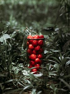 Preview wallpaper cherry, berries, glass, grass, macro