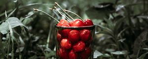 Preview wallpaper cherry, berries, glass, grass, macro