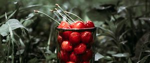 Preview wallpaper cherry, berries, glass, grass, macro