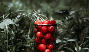 Preview wallpaper cherry, berries, glass, grass, macro