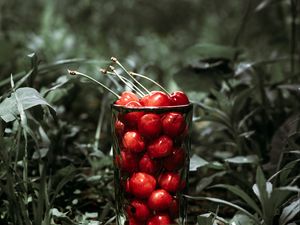 Preview wallpaper cherry, berries, glass, grass, macro