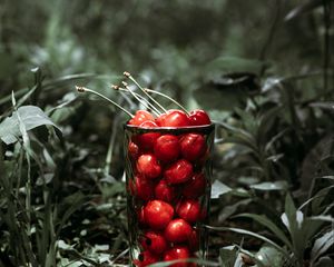 Preview wallpaper cherry, berries, glass, grass, macro