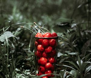 Preview wallpaper cherry, berries, glass, grass, macro