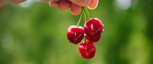 Preview wallpaper cherry, berries, hand, macro