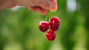 Preview wallpaper cherry, berries, hand, macro