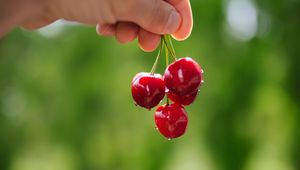 Preview wallpaper cherry, berries, hand, macro