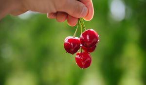 Preview wallpaper cherry, berries, hand, macro